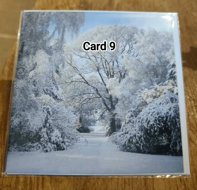 Burrow Farm Gardens Greetings Cards