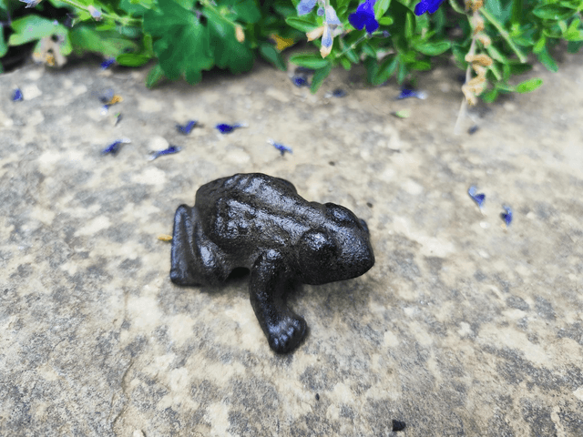Cast Iron Frog