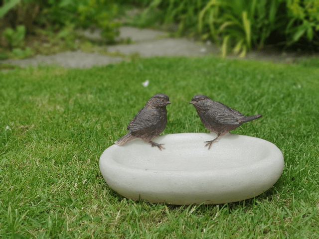 Bird Bath
