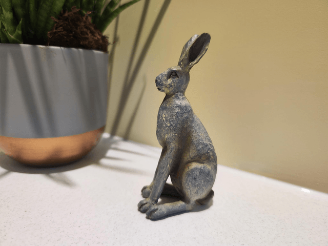 Small Grey Hares