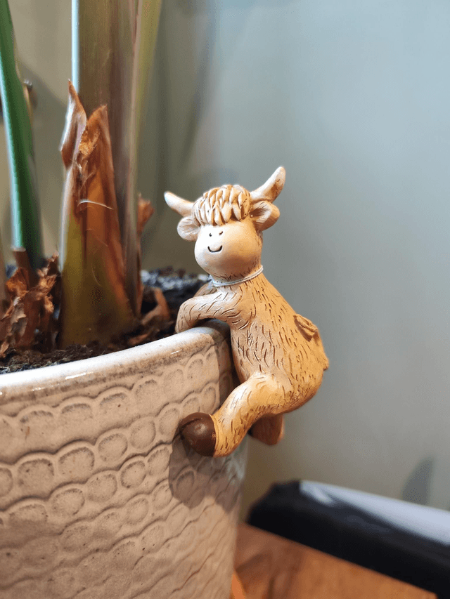Highland Cow Pot Hangers 