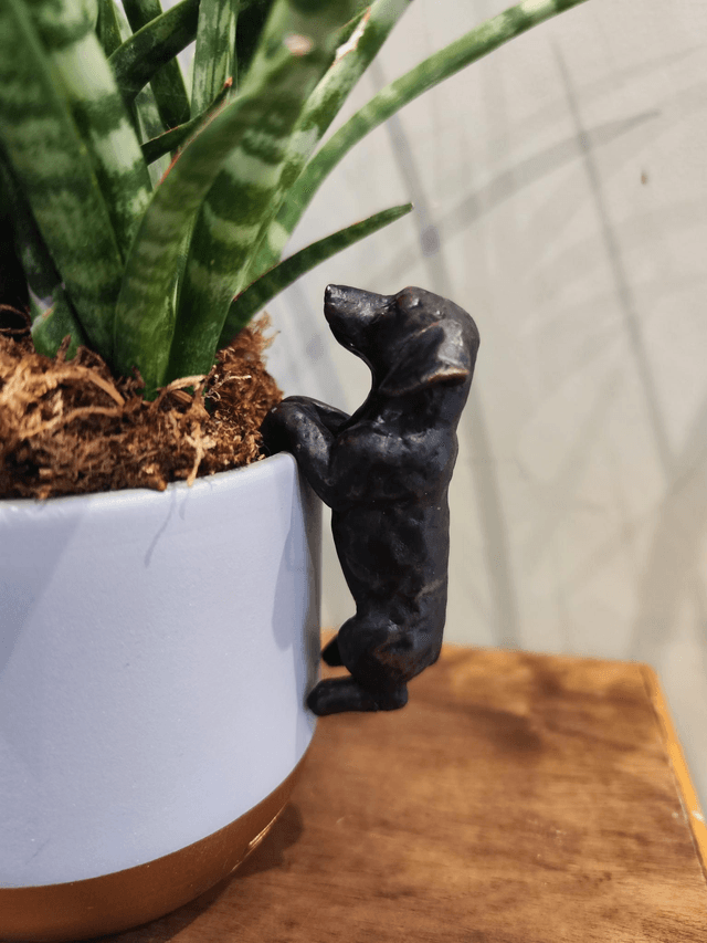 Dachshund Pot Hanger