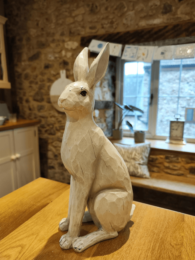 Large White Hare