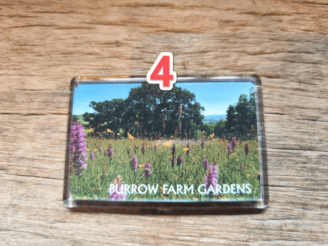 Burrow Farm Gardens Fridge Magnets - 5 Designs 