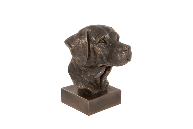 Dog Head Bronze