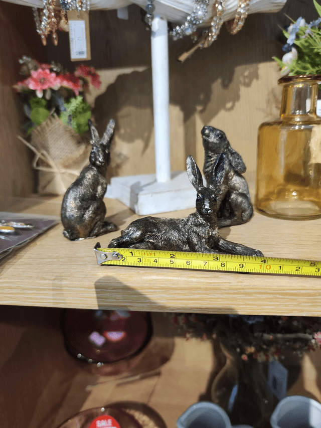 Small Hares 