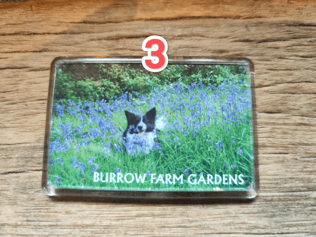 Burrow Farm Gardens Fridge Magnets - 5 Designs 