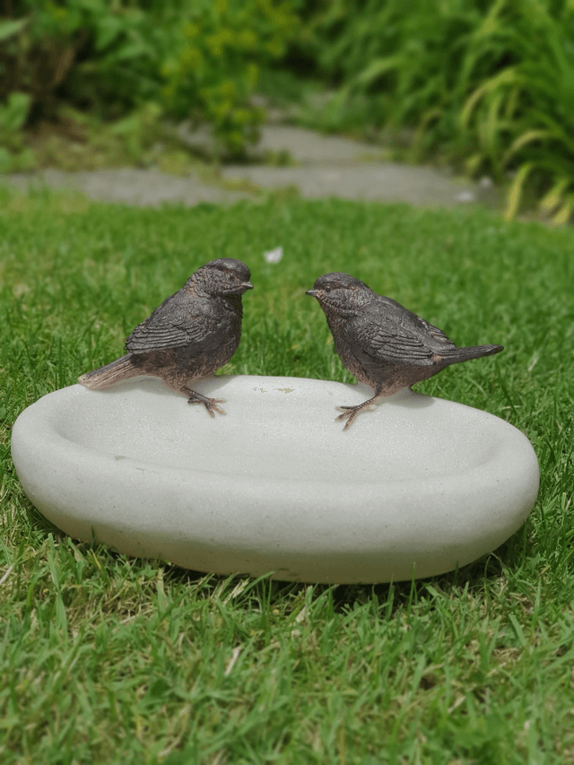 Bird Bath