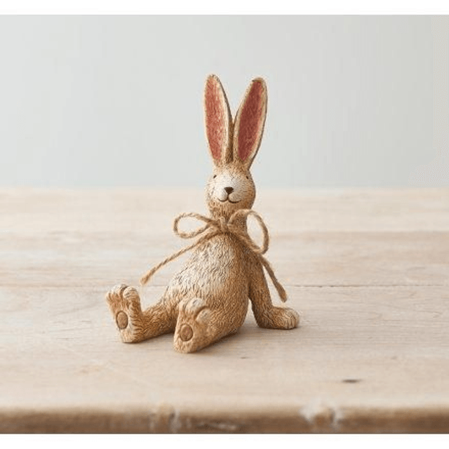 Relaxing Rabbit