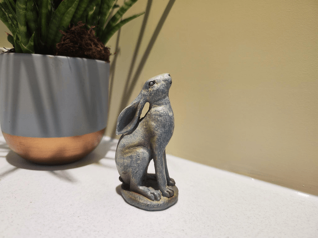 Small Grey Hares