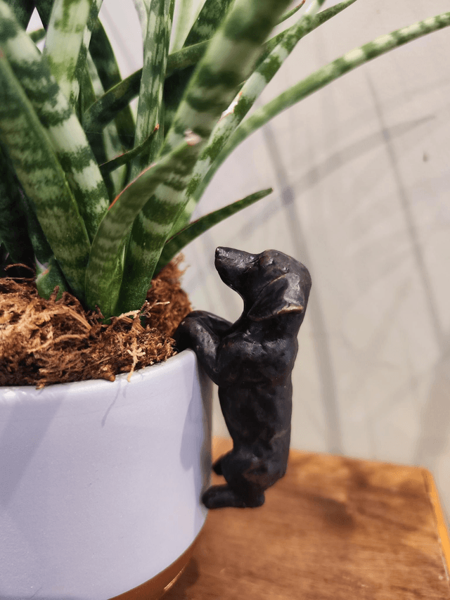 Dachshund Pot Hanger