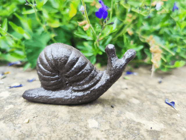 Cast Iron Snail