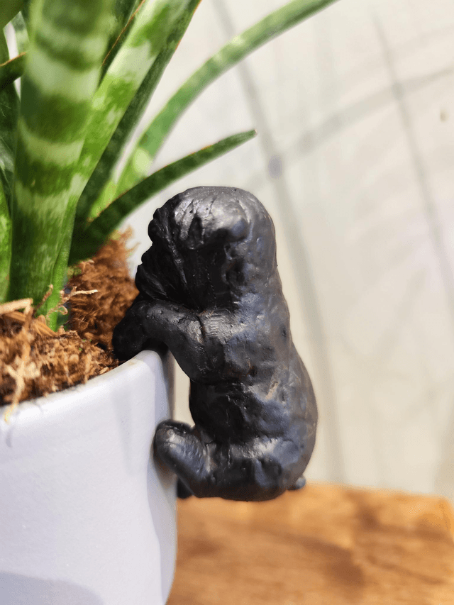 Boxer Pot Hanger 