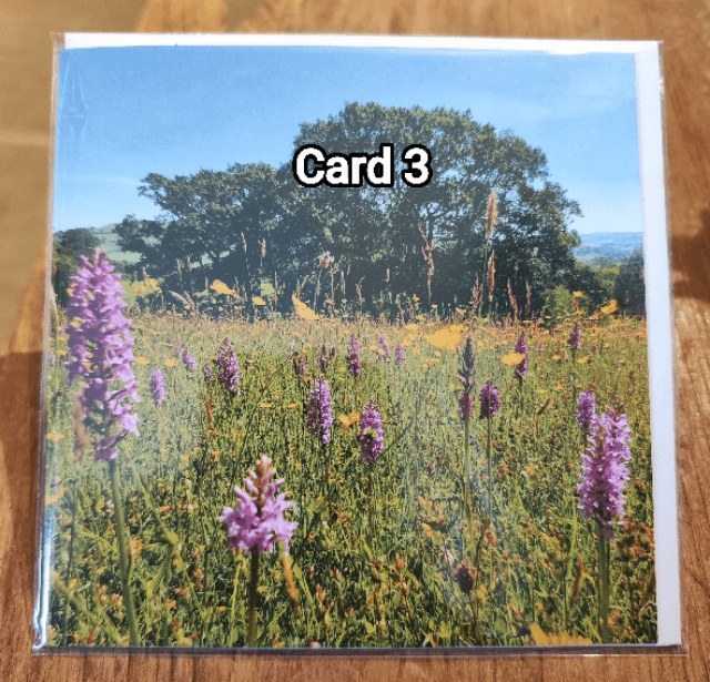 Burrow Farm Gardens Greetings Cards