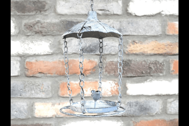 Metal Bird Feeder with Bird on 