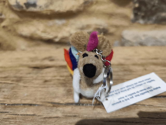 Fairtrade Multicoloured Hedgehog Keyring 
