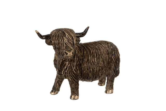 Highland Cows