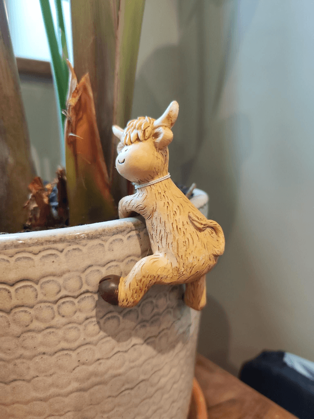 Highland Cow Pot Hangers 
