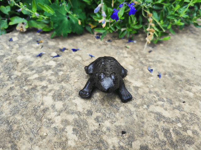 Cast Iron Frog