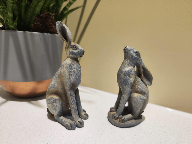 Small Grey Hares