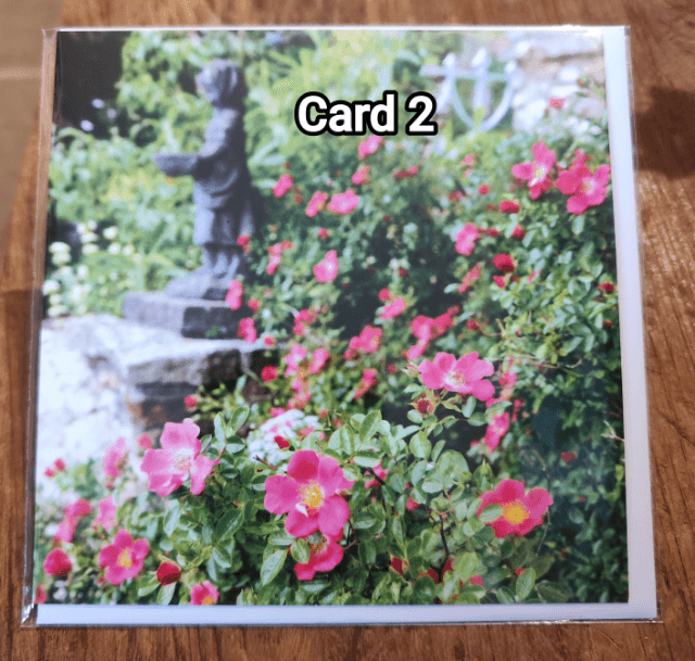 Burrow Farm Gardens Greetings Cards