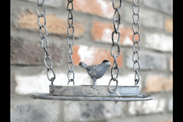 Metal Bird Feeder with Bird on 