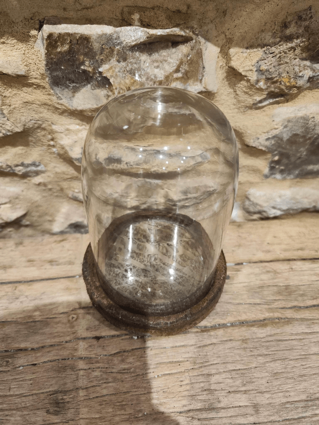 Glass Cloche Bell Dome