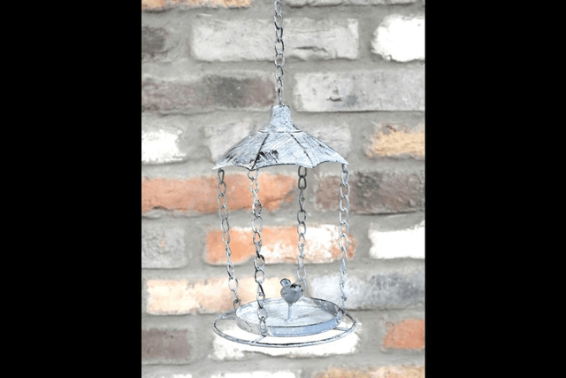 Metal Bird Feeder with Bird on 