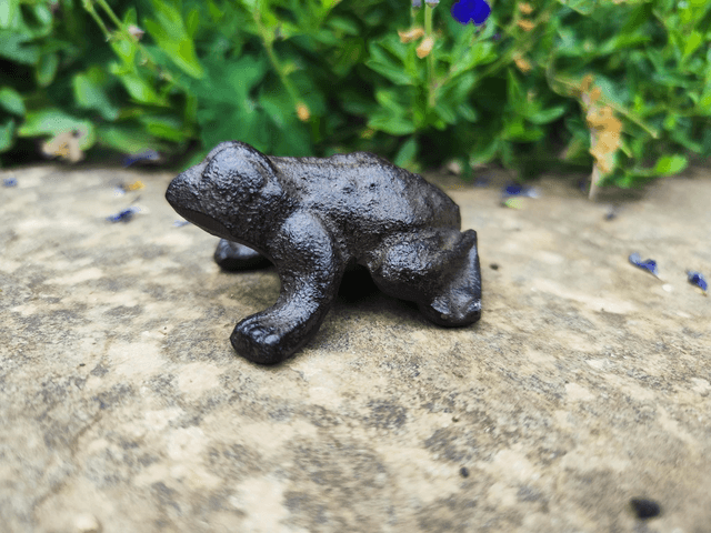Cast Iron Frog
