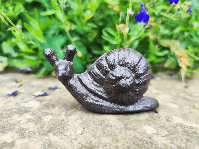 Cast Iron Snail