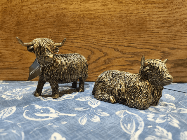 Highland Cows