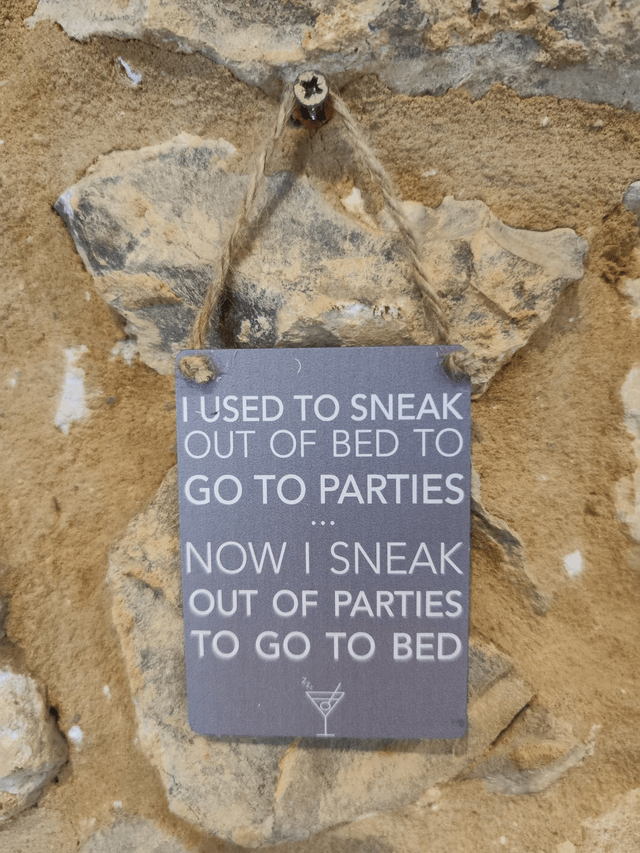 I Used to Sneak to Parties Metal Sign 