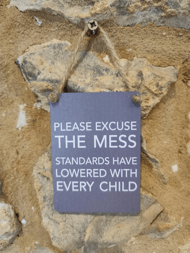 Excuse the Mess Hanging Sign