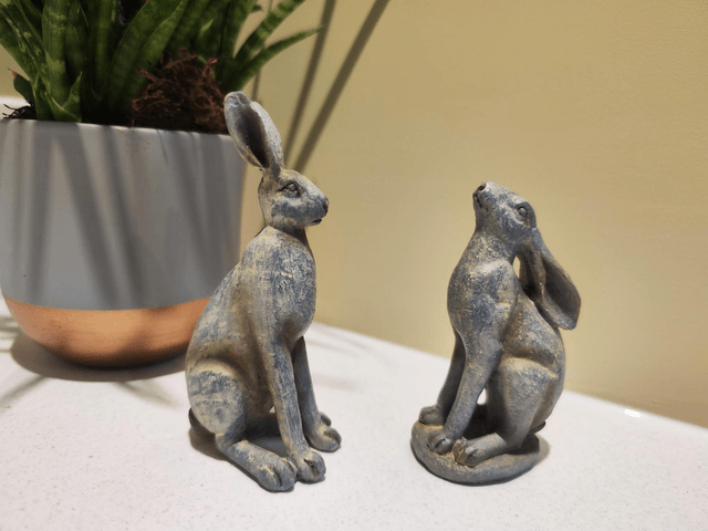 Small Grey Hares