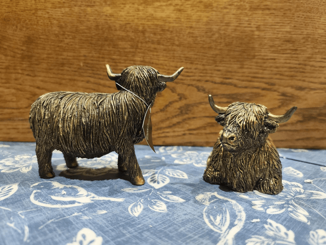 Highland Cows