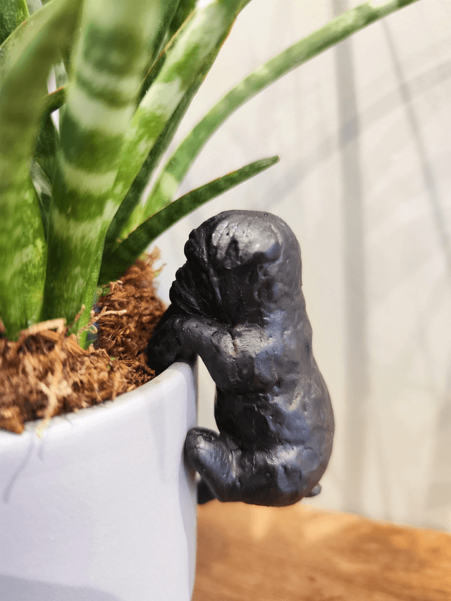 Boxer Pot Hanger 