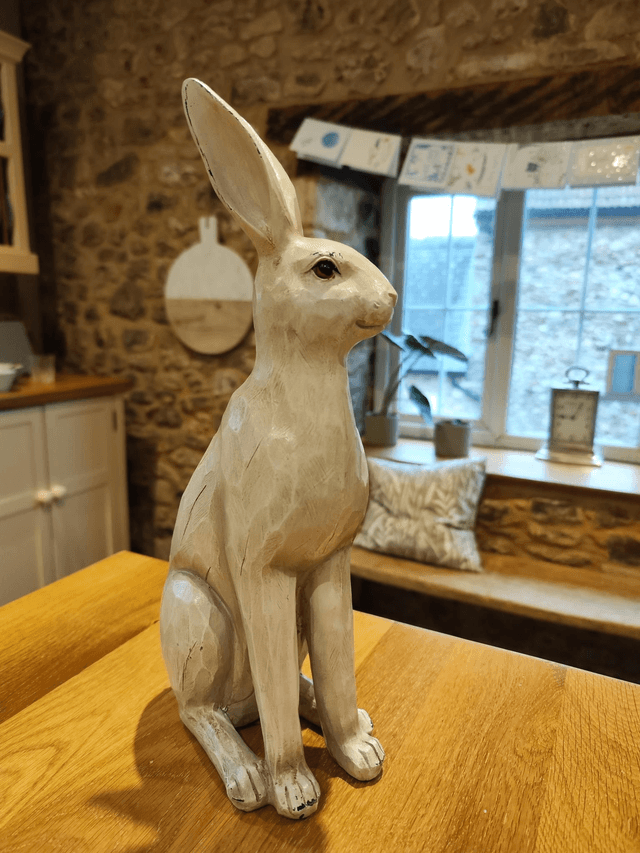 Large White Hare