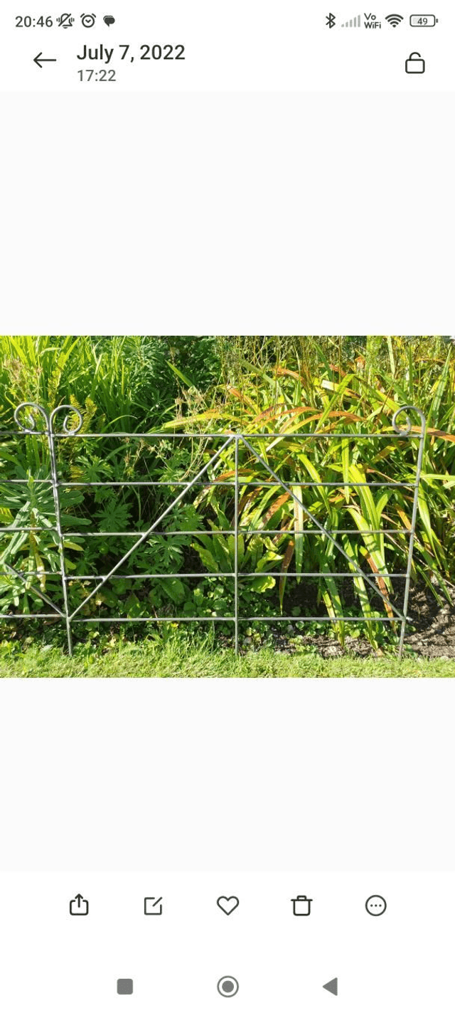 Border Hurdles