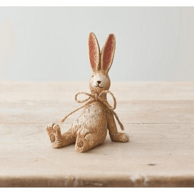 Relaxing Rabbit