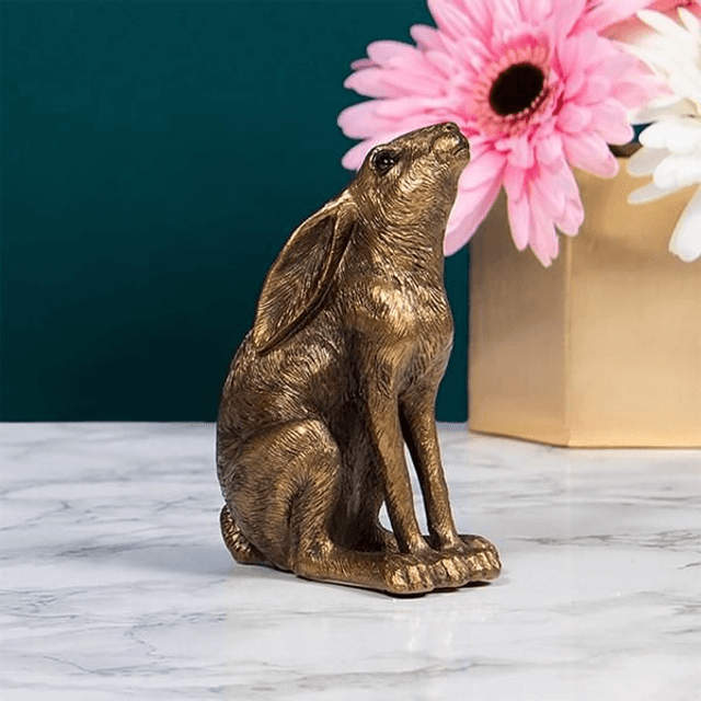 Reflections Moon Gazing Hare 