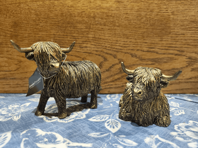 Highland Cows