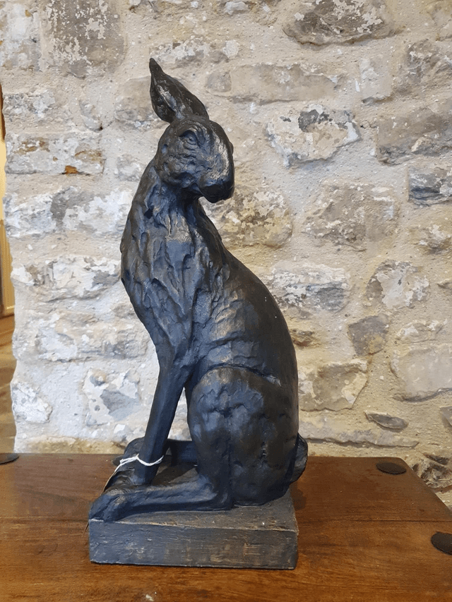 Large Black Hare 