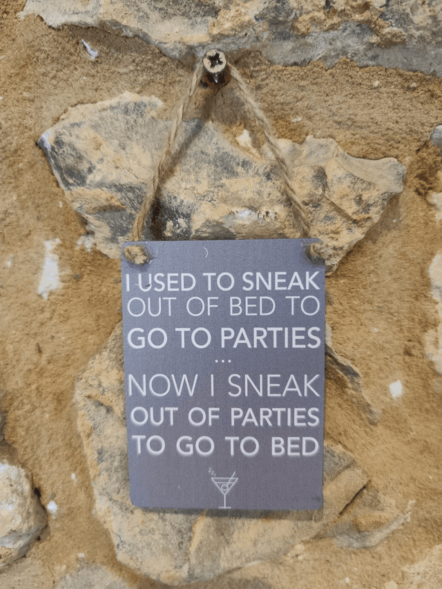 I Used to Sneak to Parties Metal Sign 