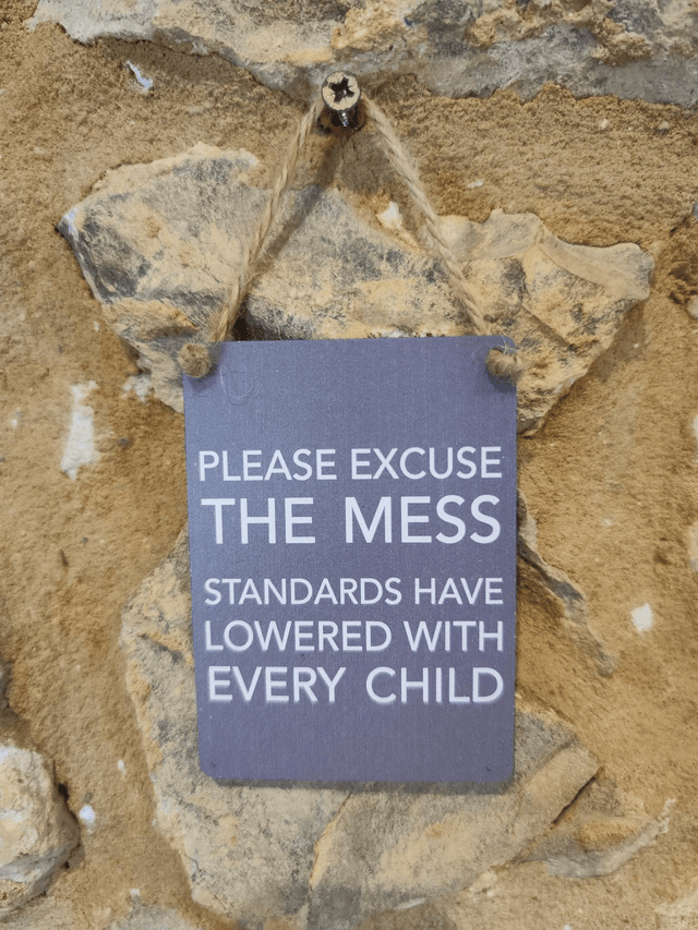 Excuse the Mess Hanging Sign